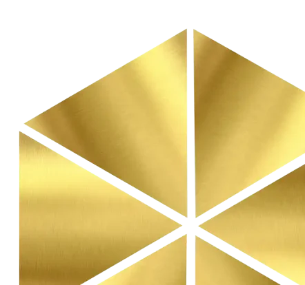 APHL Logos icon 1